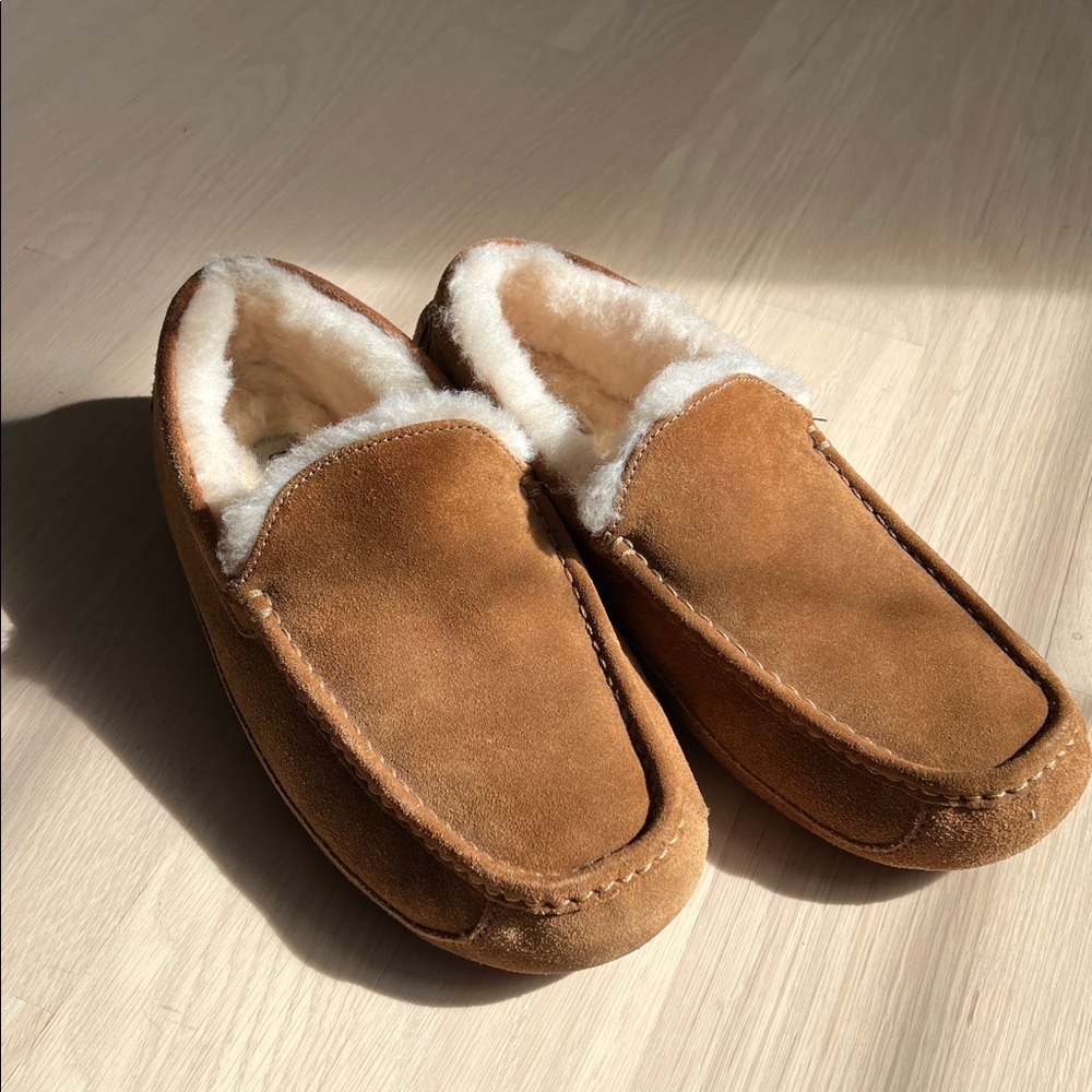 UGG Ascot Slippers (Men's 12)